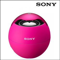 productname